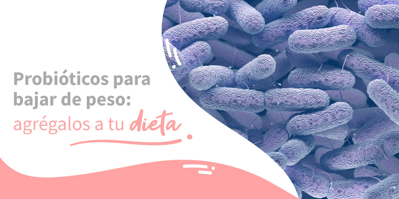 Probióticos para bajar de peso: agrégalos a tu dieta