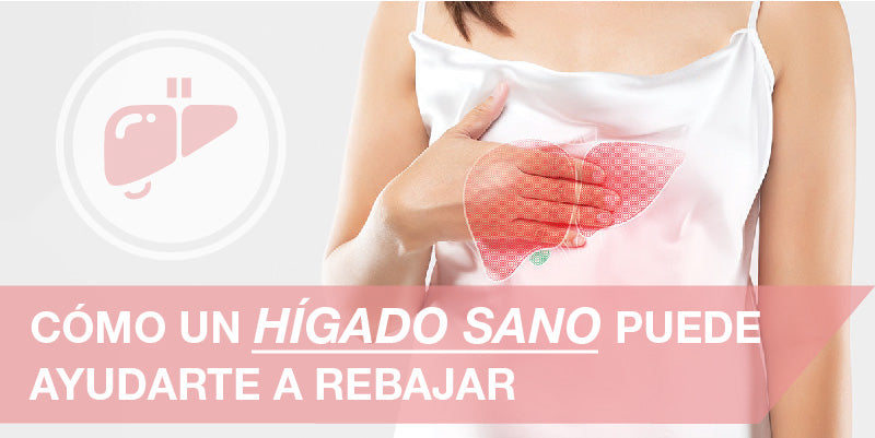 Cómo un hígado sano puede ayudarte a rebajar