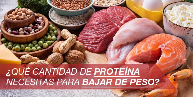 ¿Qué cantidad de proteína para bajar de peso necesitas?