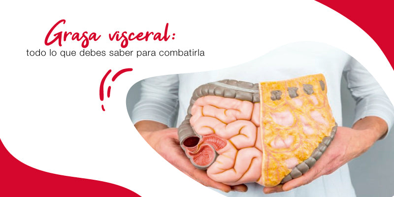 Grasa visceral: todo lo que debes saber para combatirla