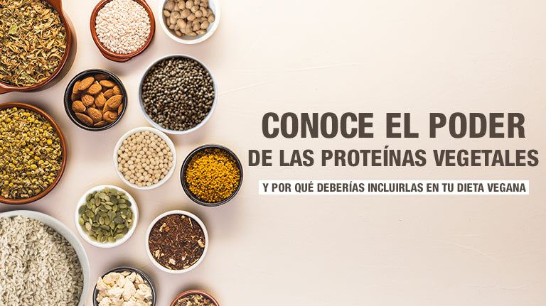 Conoce el poder de las proteínas vegetales y por qué deberías incluirlas en tu dieta vegana