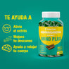 Evolution Ashwagandha Mind Plus Gummies bottle promoting stress relief, improved sleep, and relaxation.