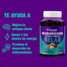 Gomitas de Mushroom Extract Complex Relax con 10 tipos de hongos, ricas en energía y apoyo diario.